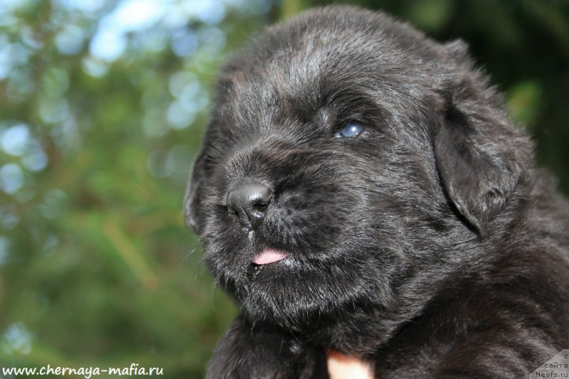 Фотография № 188060