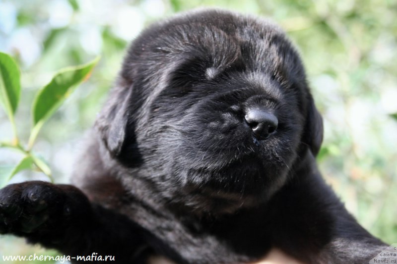 Фотография № 188061