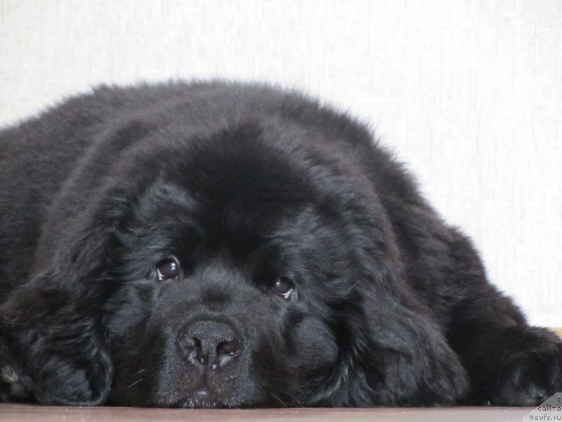 Фото: Надежда Пасхина