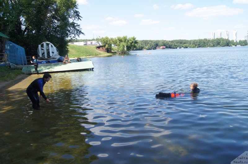 Фото: Елена Богданова, ньюфаундленд Ангел Хранитель Граффидд (Angel Khranitel Gruffidd), Антонина Чигвинцева