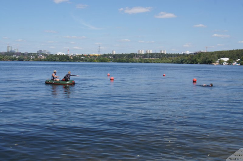 Фотография № 188082