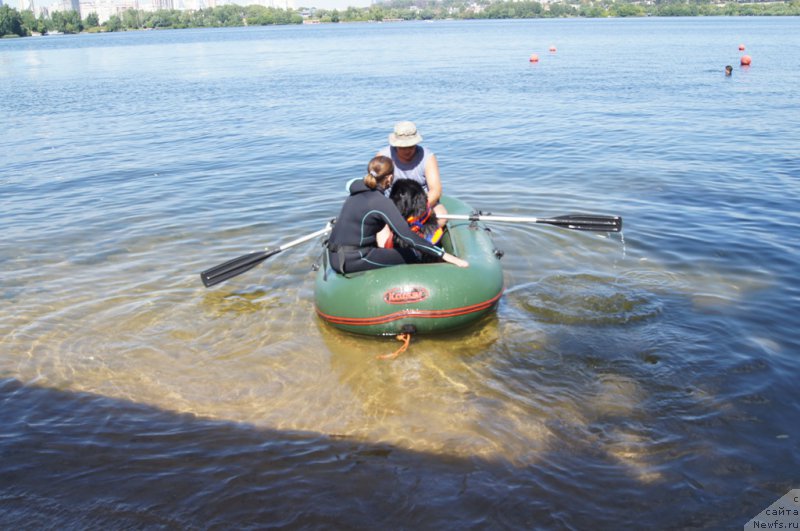 Фотография № 188085