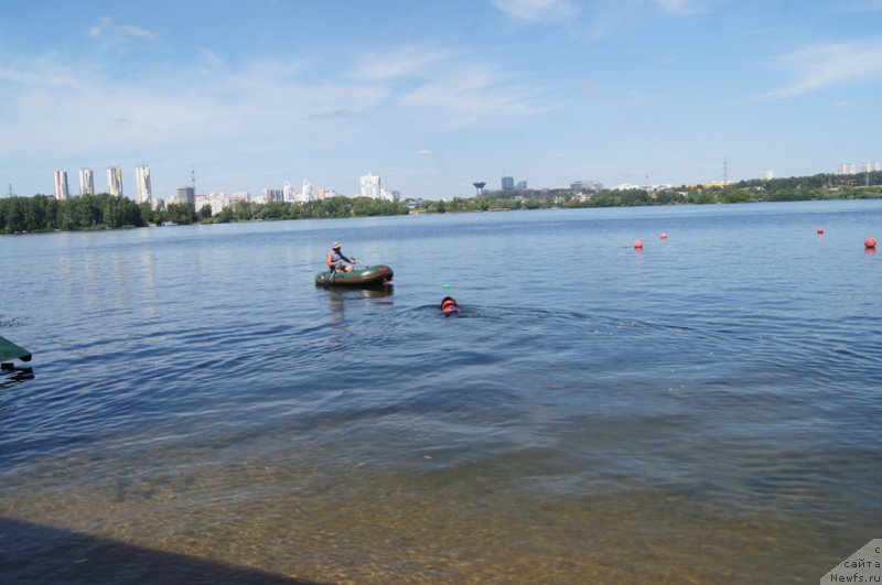 Фотография № 188093