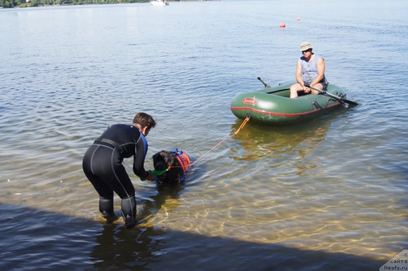 Фотография № 188104