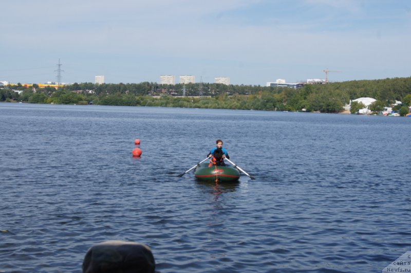 Фотография № 188108