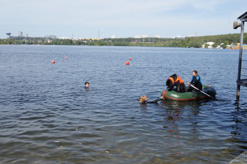 Фотография № 188109