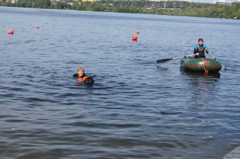 Фотография № 188111