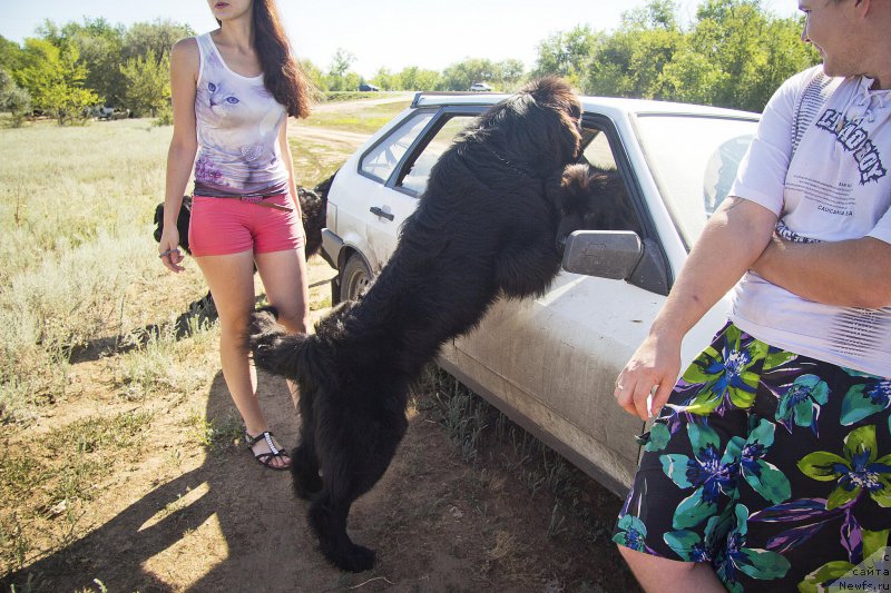 Фотография № 188115