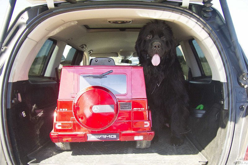 Фотография № 188116