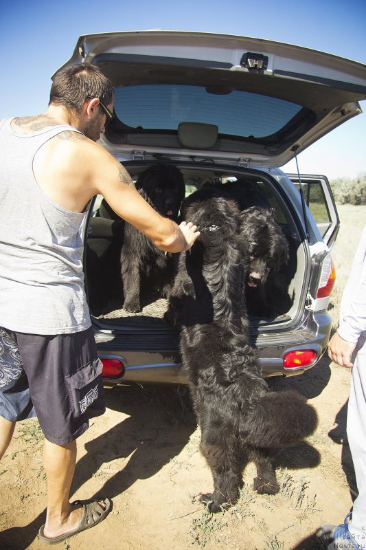 Фотография № 188118