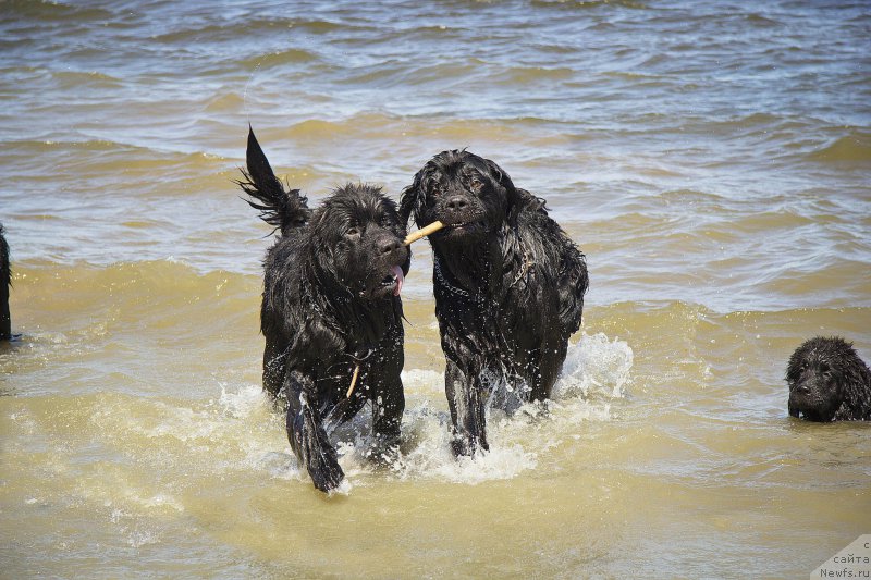 Фотография № 188125