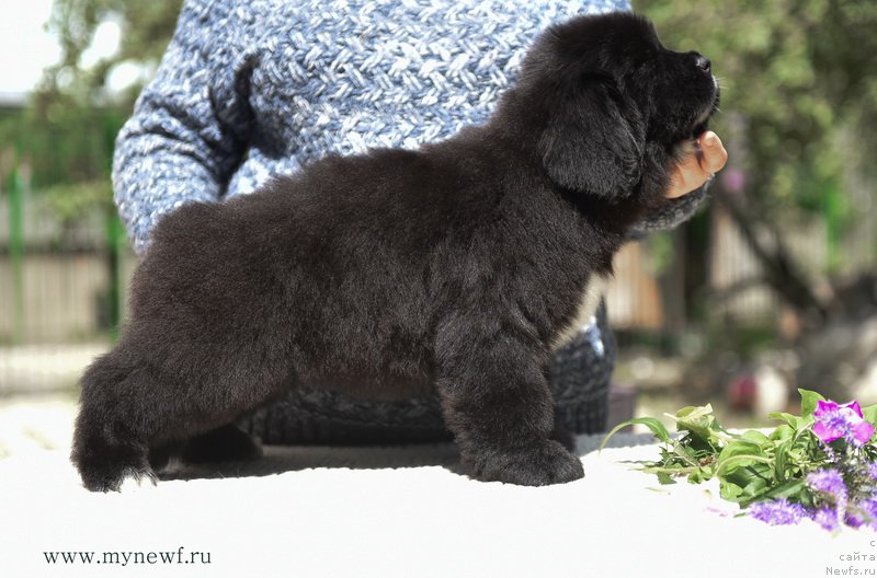 Фотография № 188136