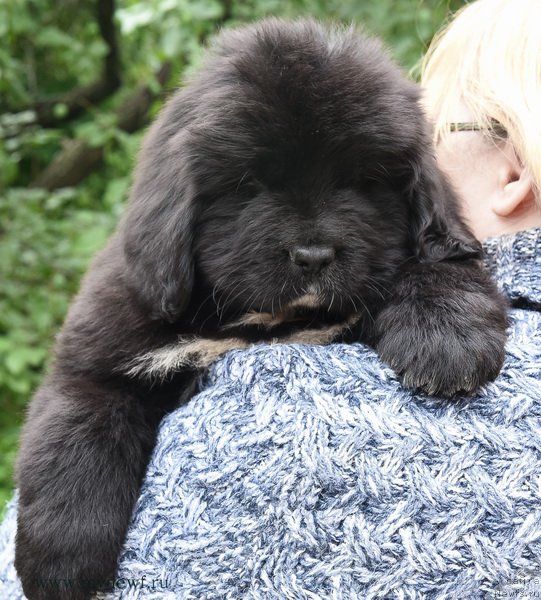 Фотография № 188146