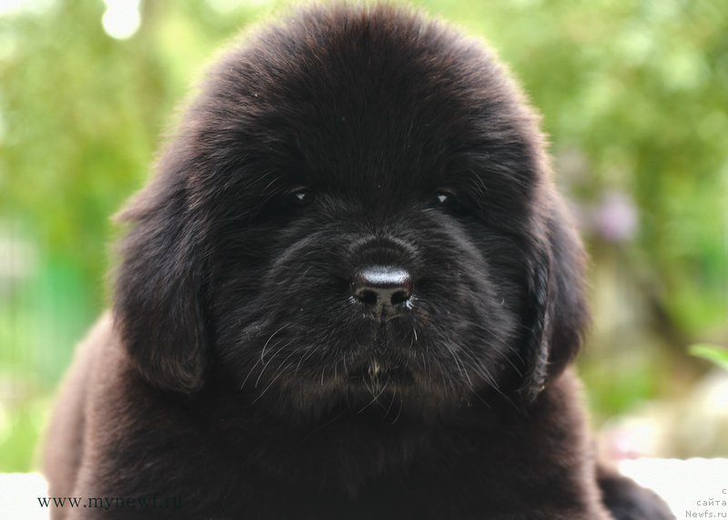 Фотография № 188173