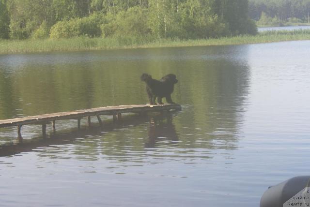 Фотография № 18819