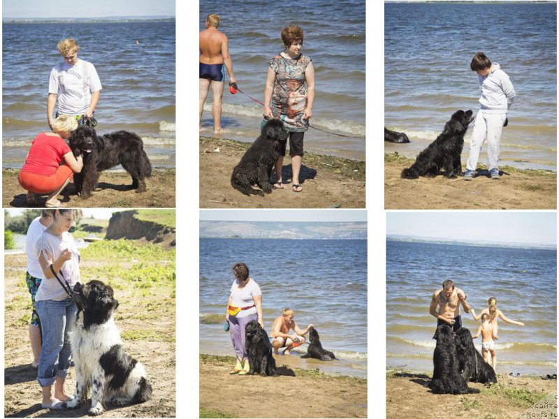 Фотография № 188190