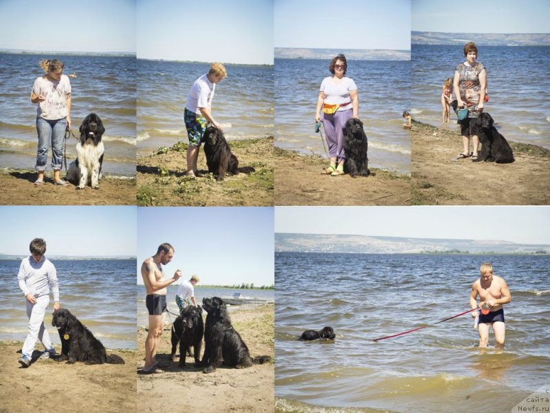 Фотография № 188193