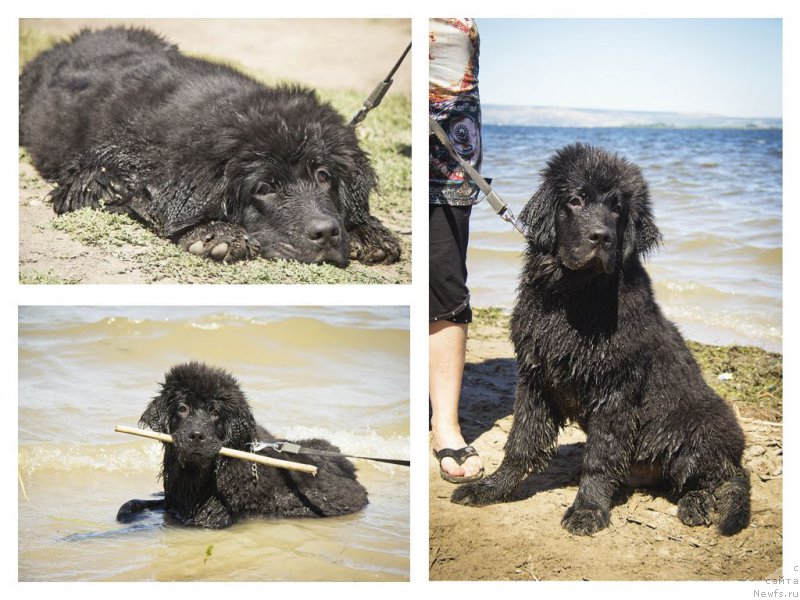 Фотография № 188194