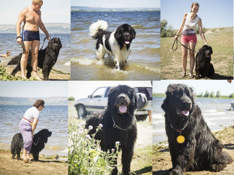 Фотография № 188196