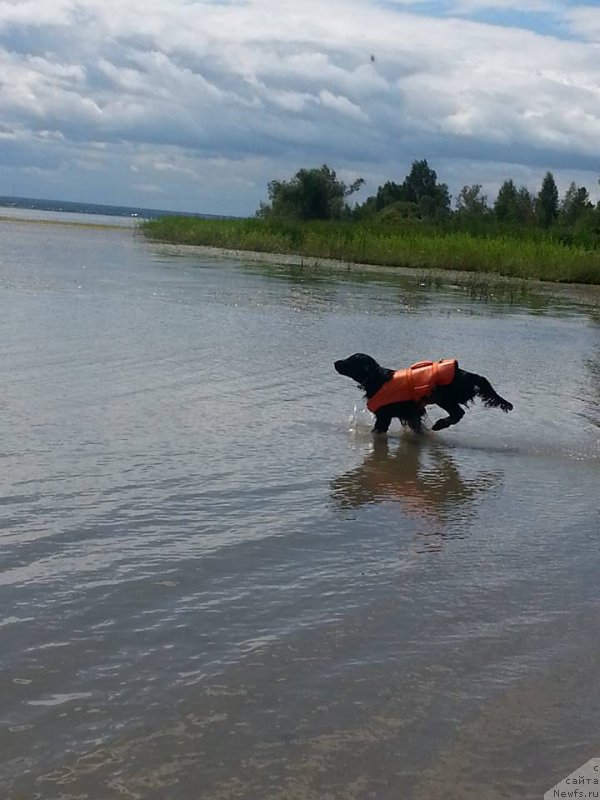 Фотография № 188207