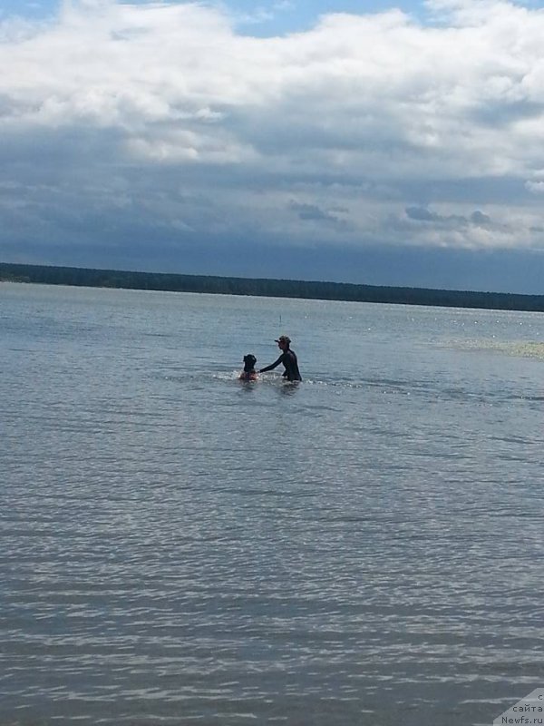 Фотография № 188208