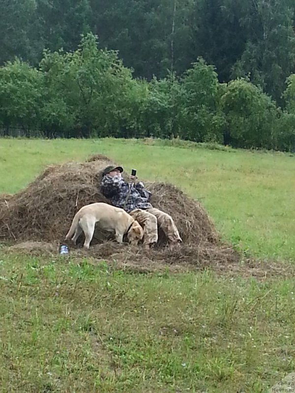 Фотография № 188213