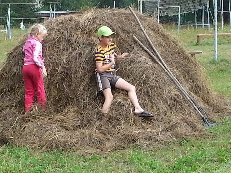 Фотография № 188214