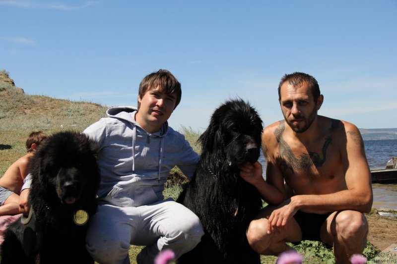 Фото: ньюфаундленд Нью-Пом-Шир Бонд Джеймс, ньюфаундленд Черный Балу Добрыня, [p2541]Кирилл