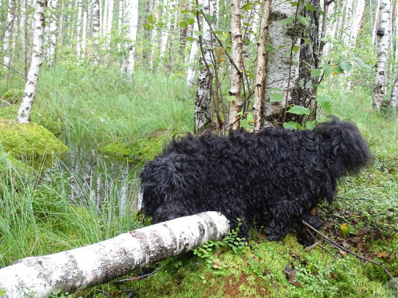 Фотография № 188222