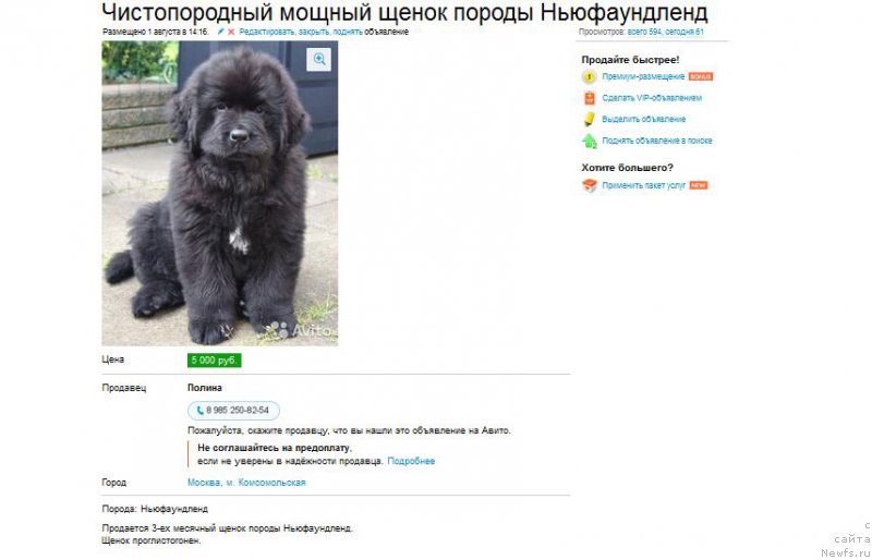 Фотография № 188223