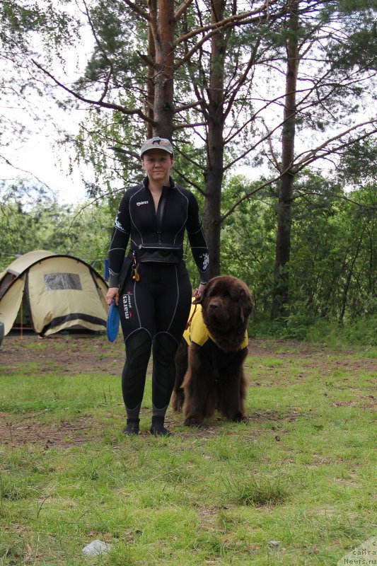 Фотография № 188239