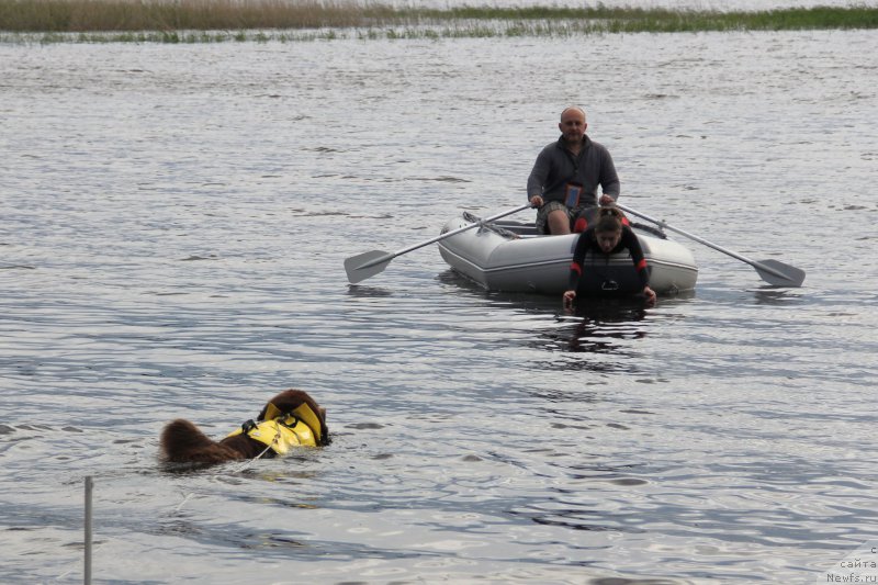 Фотография № 188247