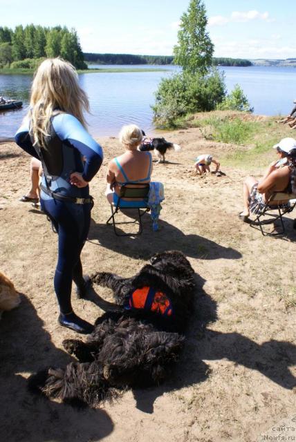 Фото: Александра Ивашова, ньюфаундленд О Блек Диамонд Литтл Беар (O Black Diamond Little Bear)