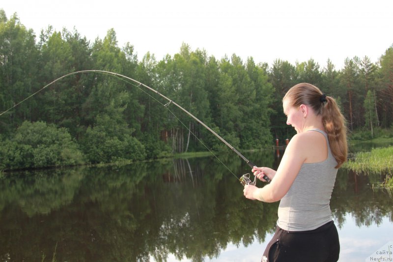 Фотография № 188252