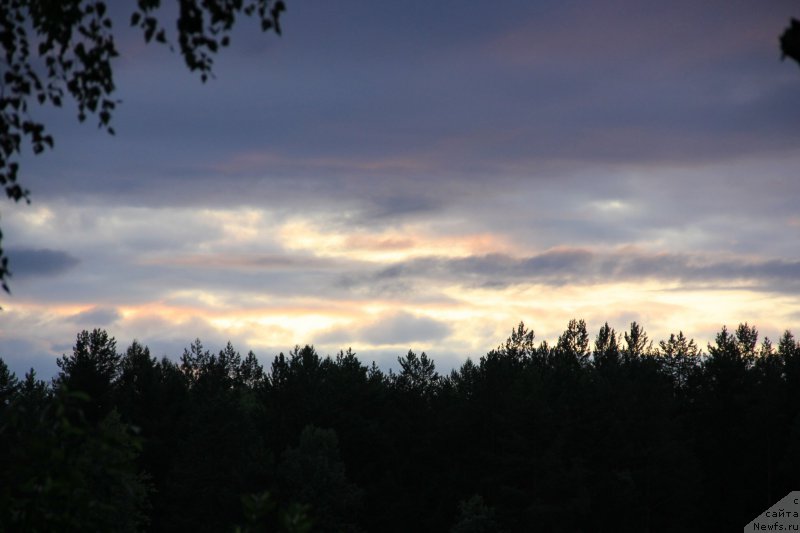 Фотография № 188255