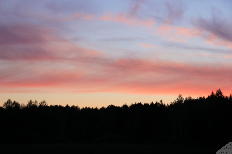 Фотография № 188257