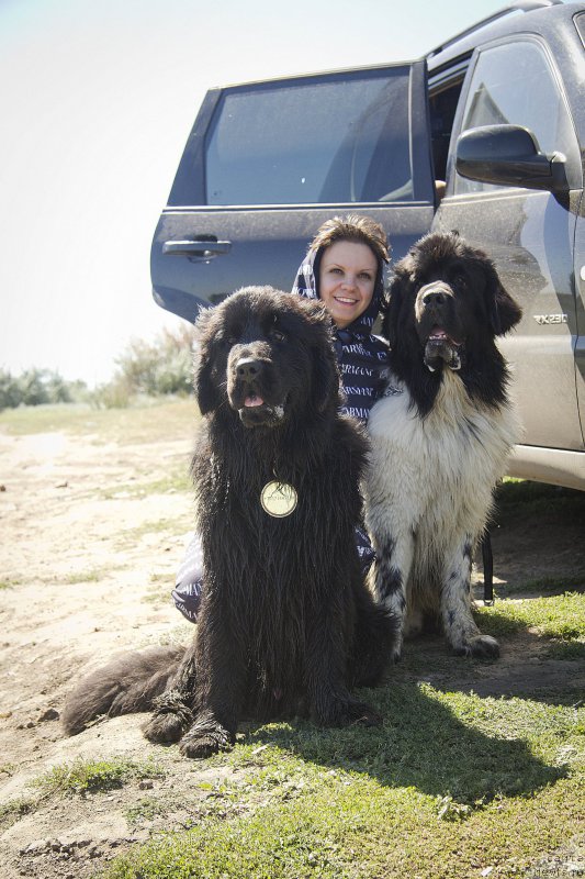 Фотография № 188259