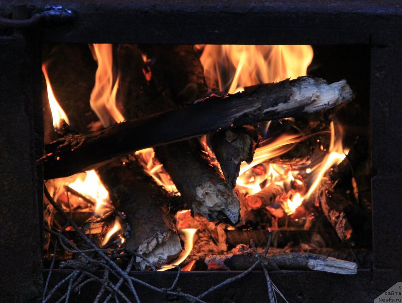 Фотография № 188262