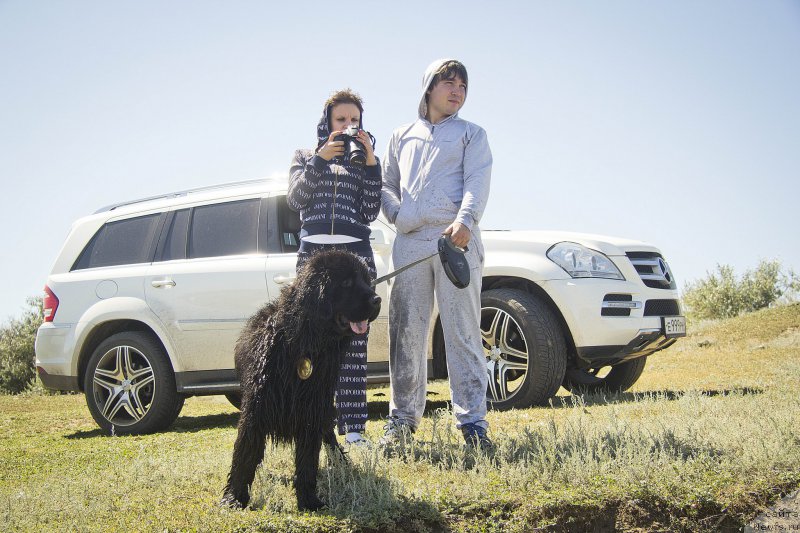 Фотография № 188269