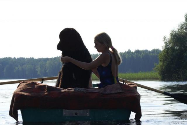 Фото: Александра Канунникова, ньюфаундленд Маг Исполин Копперфильд