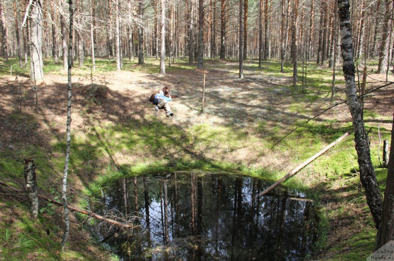 Фотография № 188270