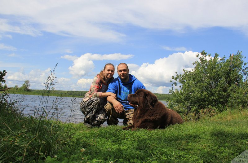 Фотография № 188271