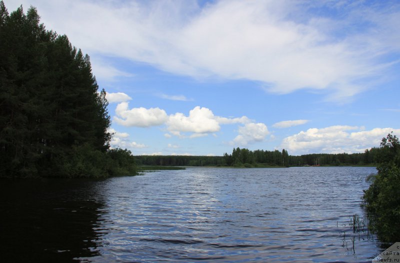 Фотография № 188274