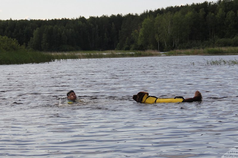 Фотография № 188279