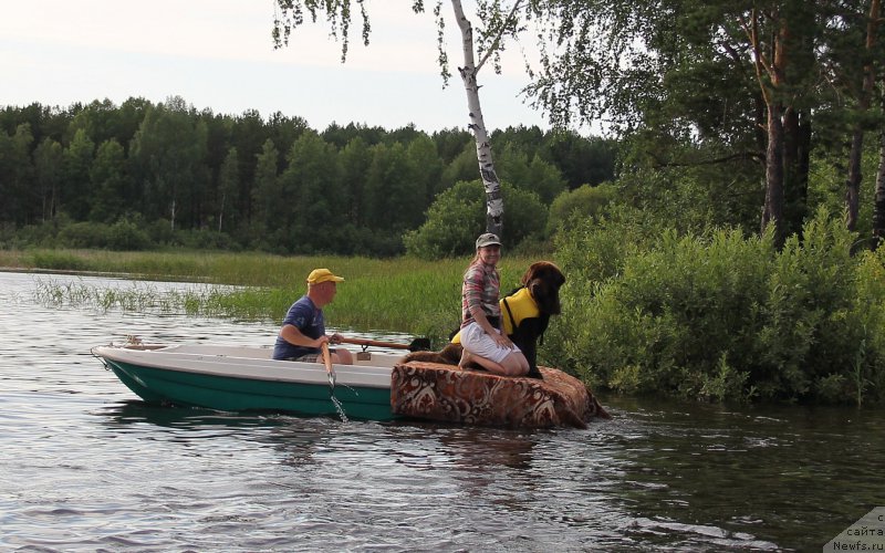 Фотография № 188282