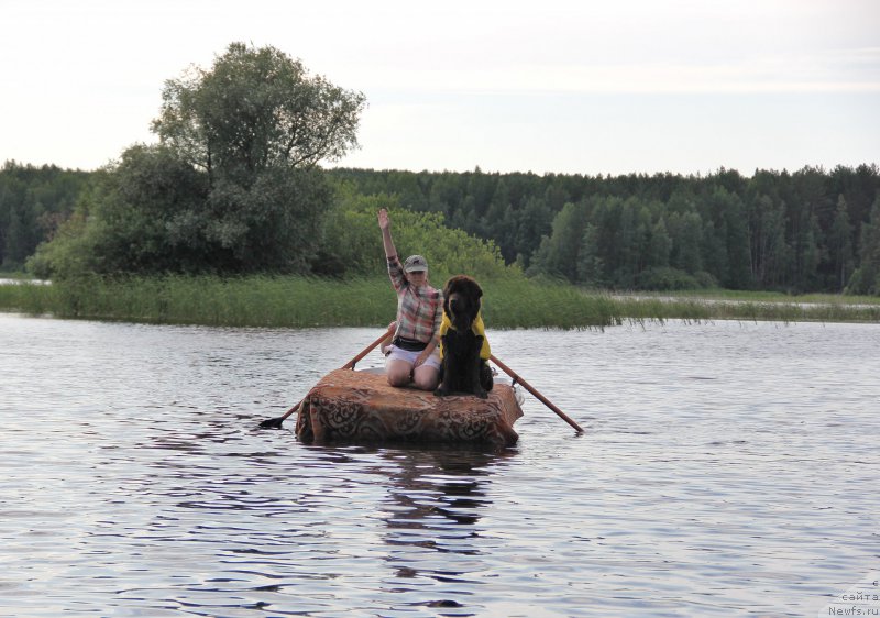 Фотография № 188283