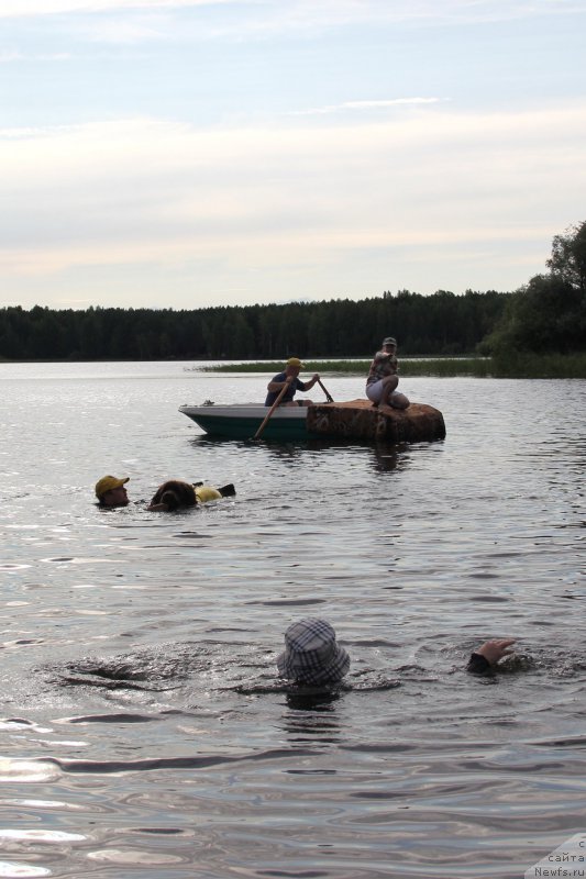 Фотография № 188284