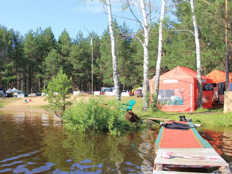 Фотография № 188287