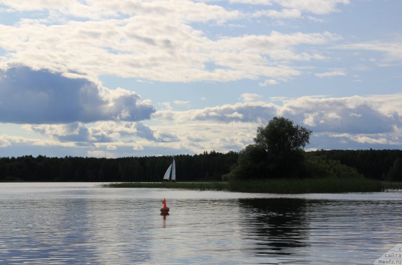 Фотография № 188288