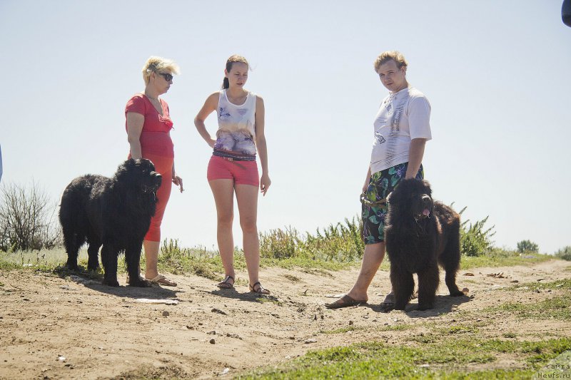 Фотография № 188289